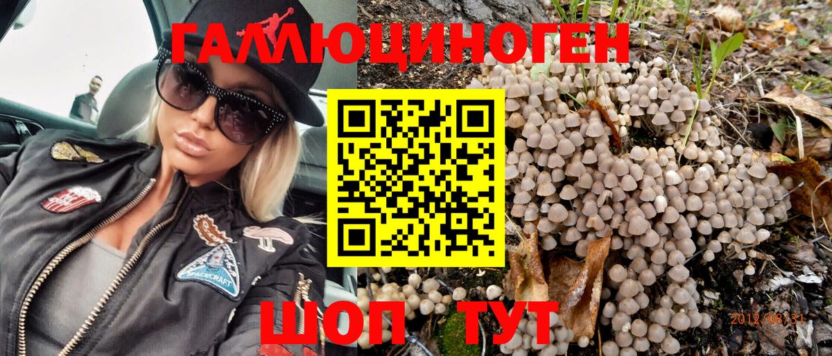Псилоцибиновые грибы мухоморы Лыткарино