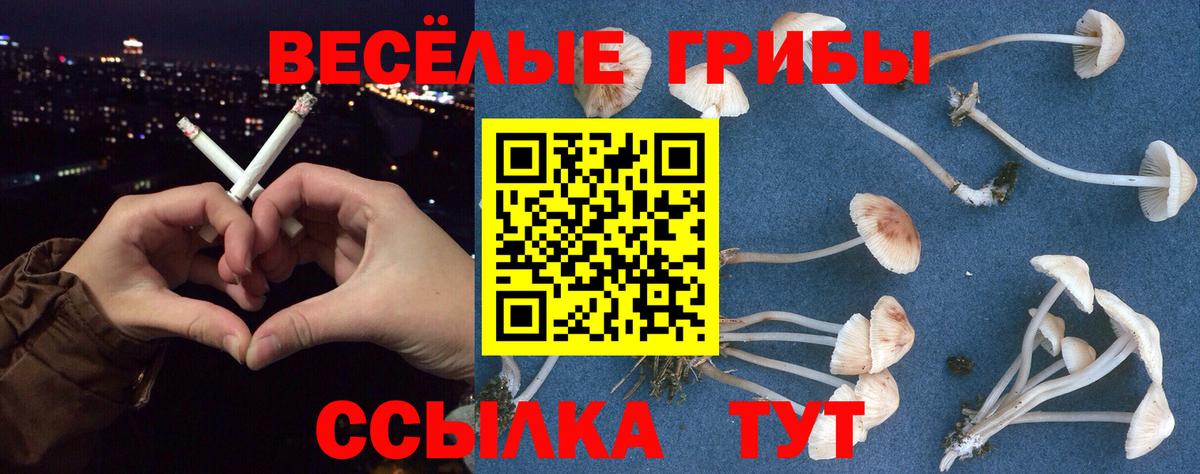 Галлюциногенные грибы мицелий  Вход с VPN  Лыткарино 